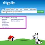 Exploring Dogpile.com Preferences: A Comprehensive Guide